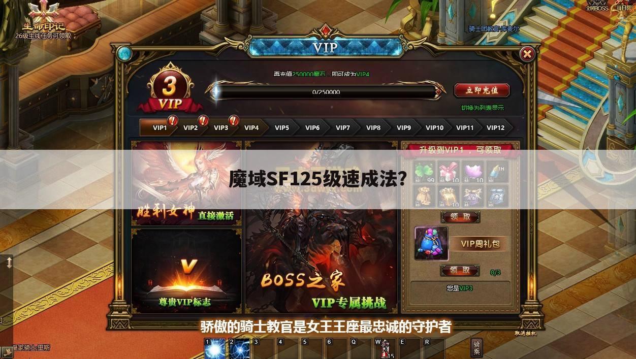 魔域sf125级速成法?